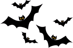 Bat Halloween, halloween bats s, mammal, vertebrate png