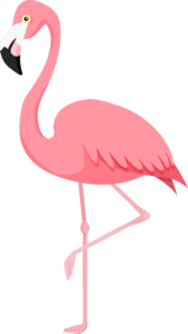 Flamingos Bird, Bird, animals, vertebrate png