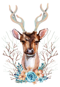 Reindeer Red deer Illustration, Watercolor deer, watercolor Painting, antler png