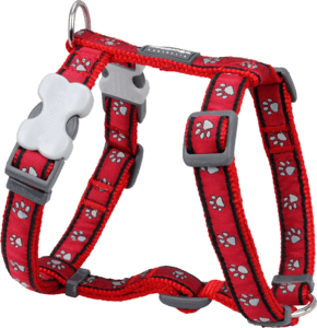 Dog harness Dingo Puppy Dog collar, red collar dog, animals, pet png