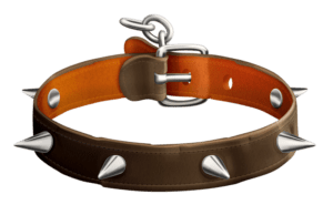 dog collars, collars, dogs png