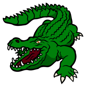 Green crocodile, Nile crocodile Alligator Saltwater crocodile, crocodile, animals, fauna png